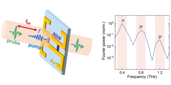 Transient symmetry breaking in a superconductor by THz light