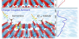  Water promotes methanol decomposition on TiO₂ under ambient conditions
